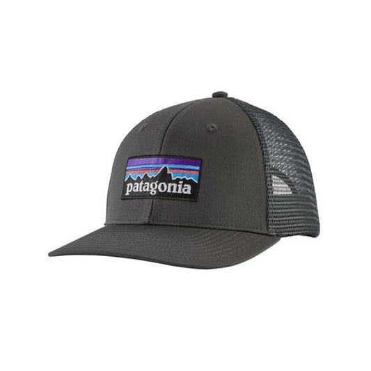 Patagonia P-6 Trucker Hat